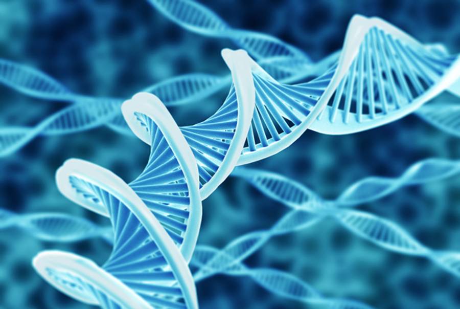 DNA. (Shutterstock)