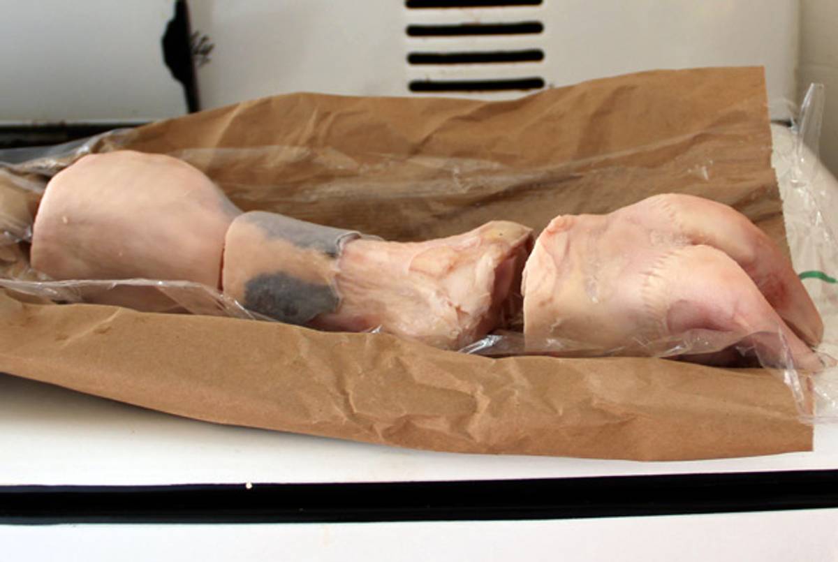 Calf foot, pre-ptcha.(Abigail Miller)