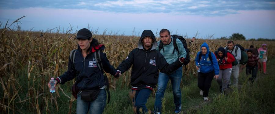 Syrian refugees are smuggled through fields and forests in an attempt to evade the Hungarian police close to the Serbian border in Roszke, Hungary, September 8, 2015. 