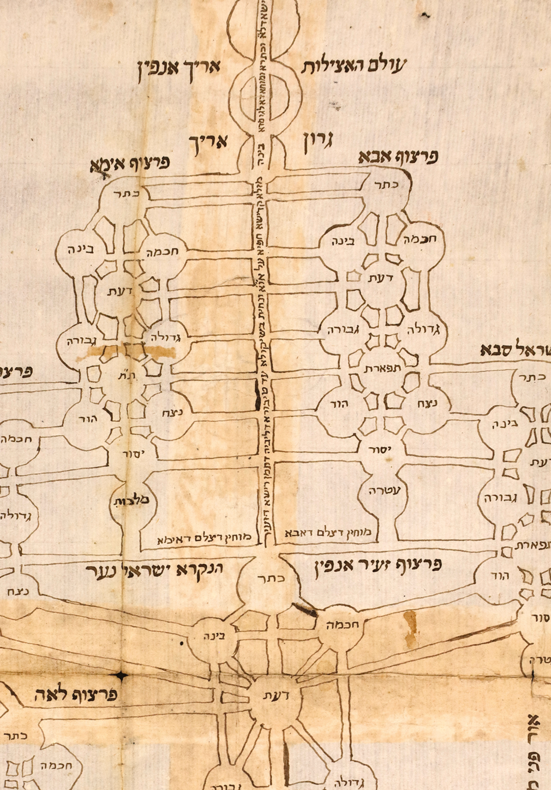 Ilan of the Enrobings, fol. 204b, Jacob Ẓemaḥ, in Hayyim Vital, ‘Ozrot Hayyim,’ 17th-century Italian script