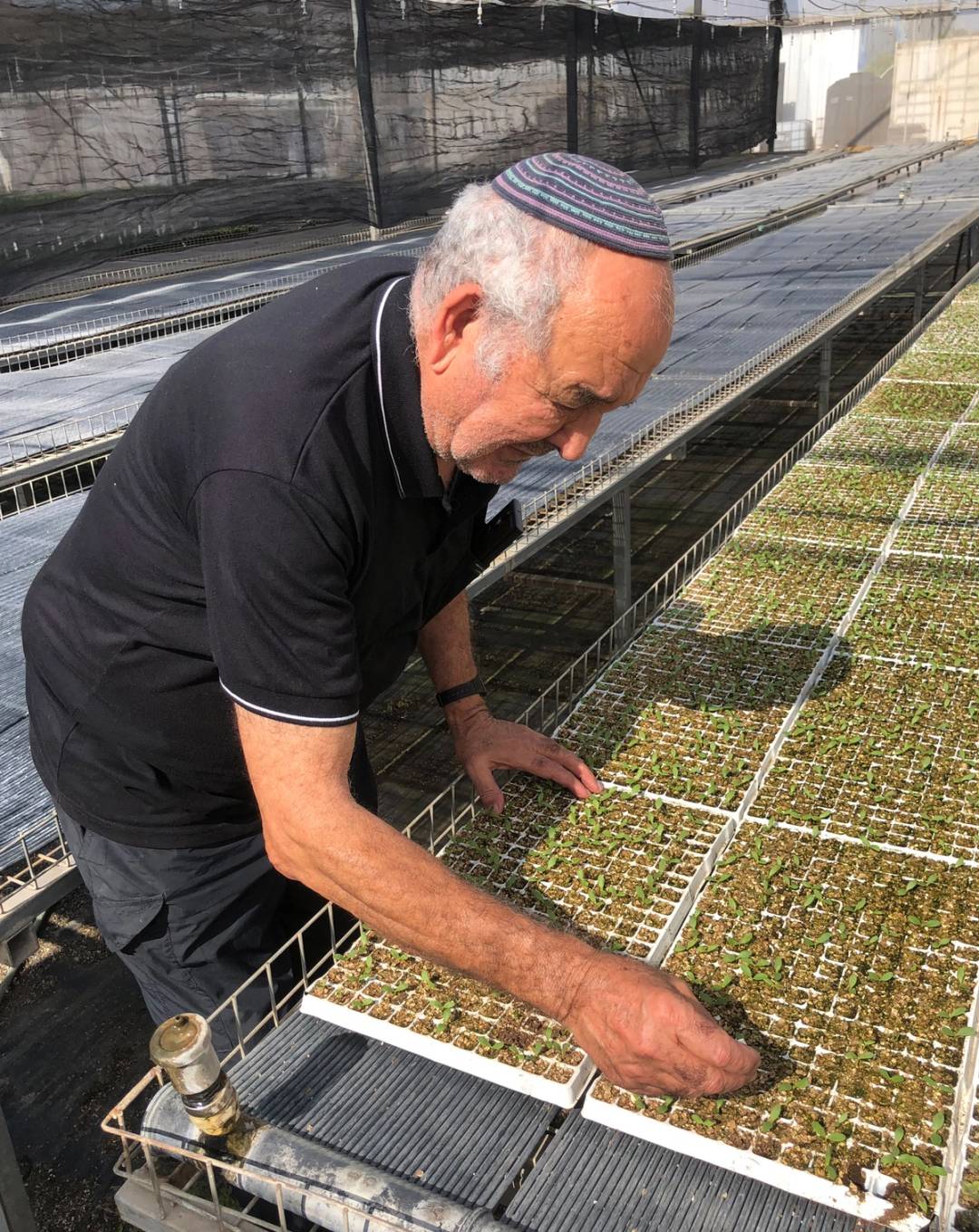 Assaf Assis, the owner of Assis Nurseries, located south of Ashkelon