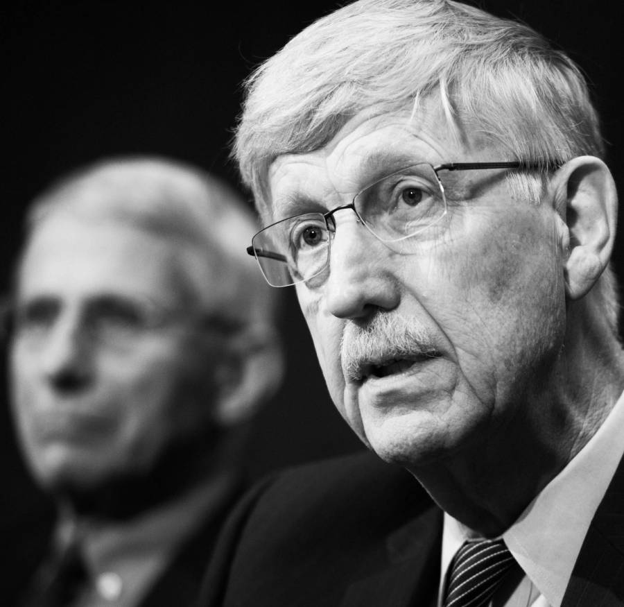 Francis Collins, at right, and Anthony Fauci