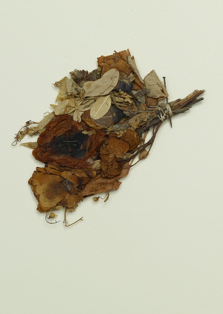 Dried flowers from the funeral of Abraham Lincoln