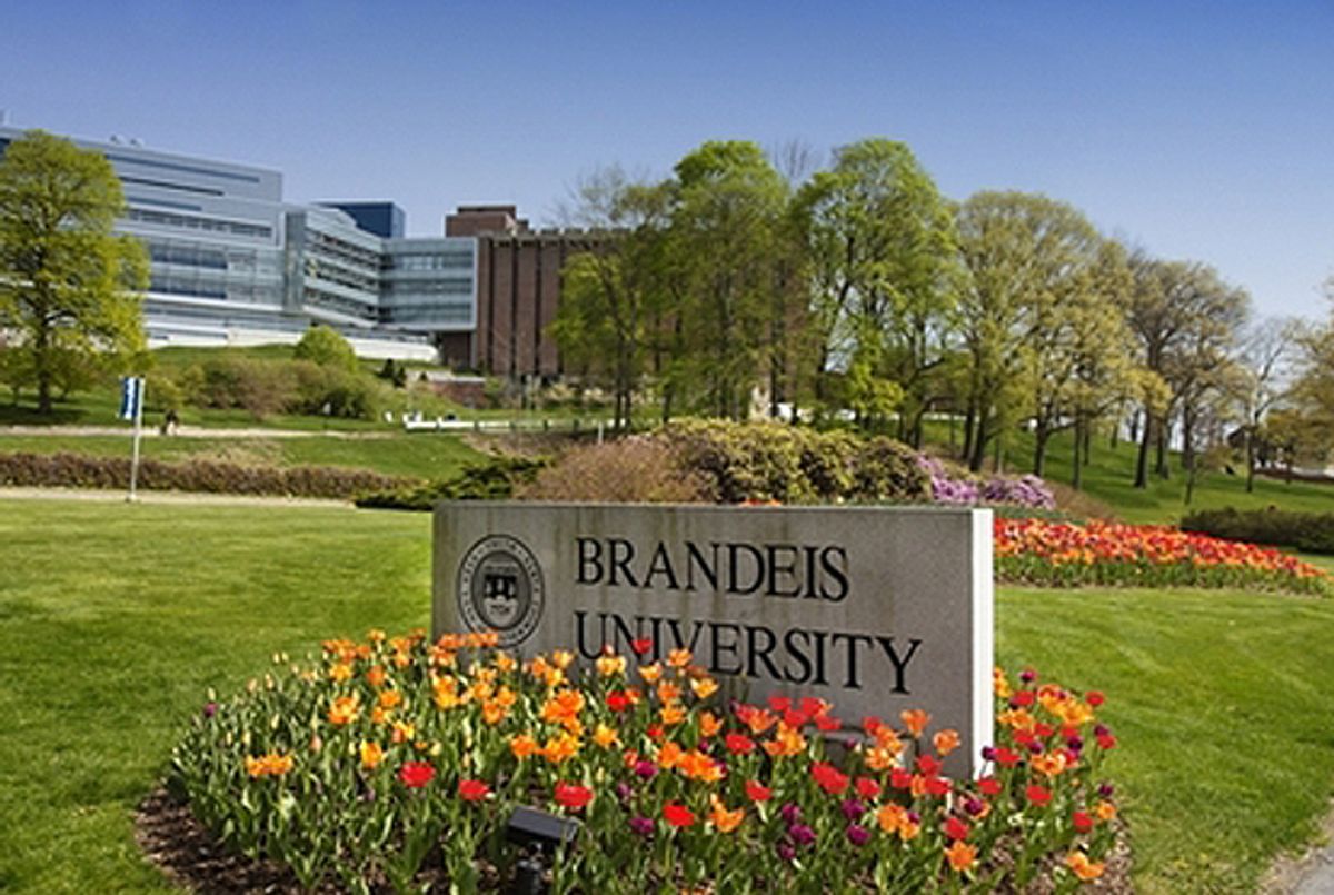 He is now university. Brandeis University Campus. Brandeis University факультеты. Брендайс. Институт Брандейса-Бардина.