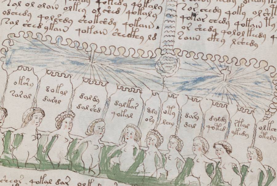 Detail from the Voynich Manuscript.(Beinecke Rare Book and Manuscript Library, Yale University)