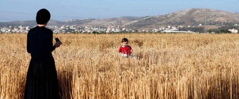 An Ultra-Orthodox Jewish woman looks at her baby as they come to see the wheat harvesting in a field near the Mevo Horon settlement in the West Bank on May 10, 2017.