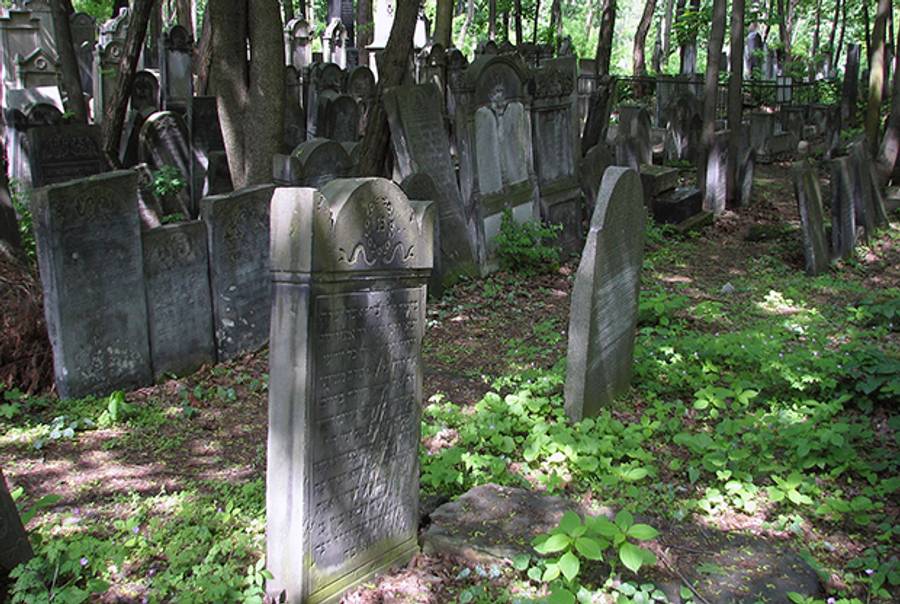 Warsaw's Okopowa Street Jewish Cemetery(Wikimedia)