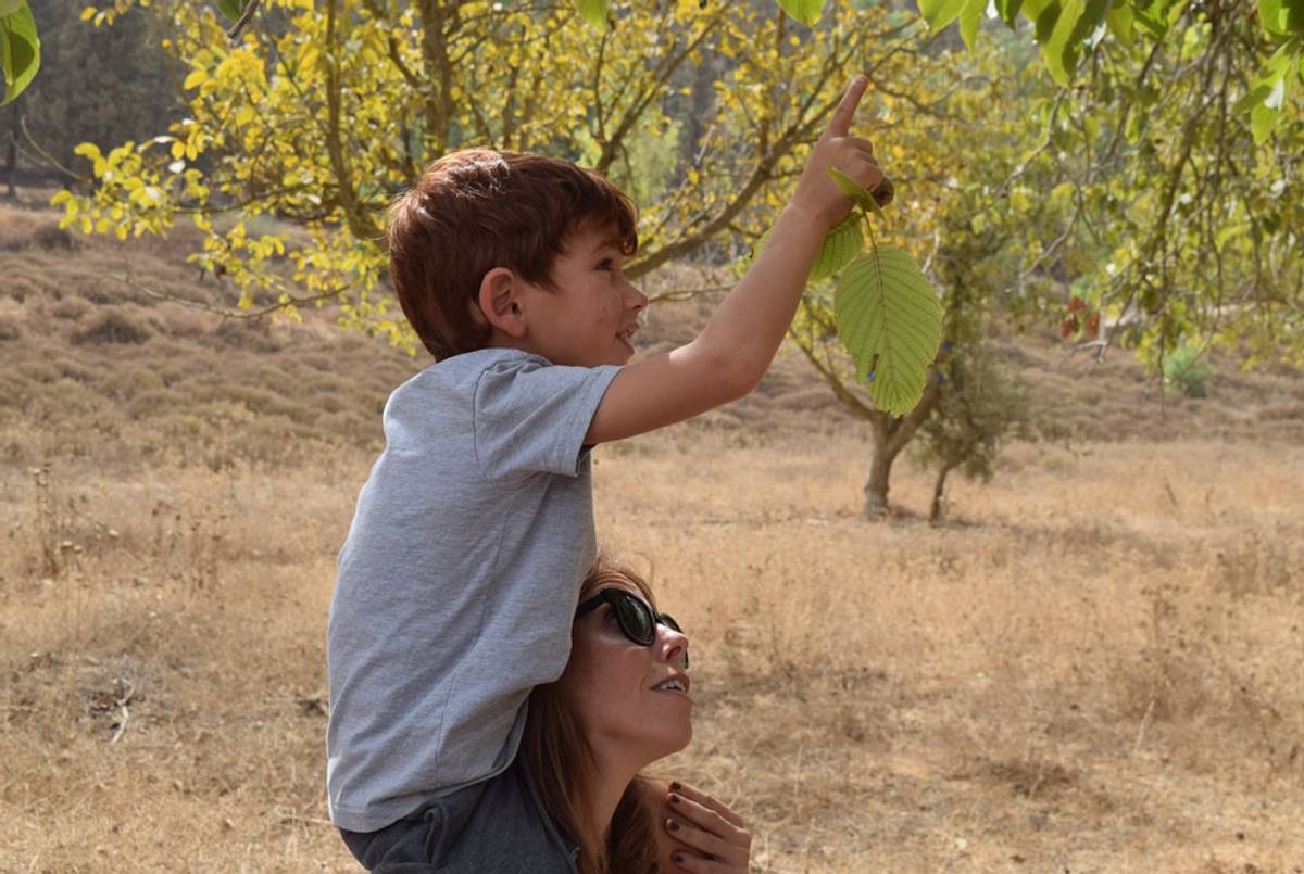 Idit Poncz with her son Dan, 5, reaching for wild walnuts. (Photo: Kevin Begos)