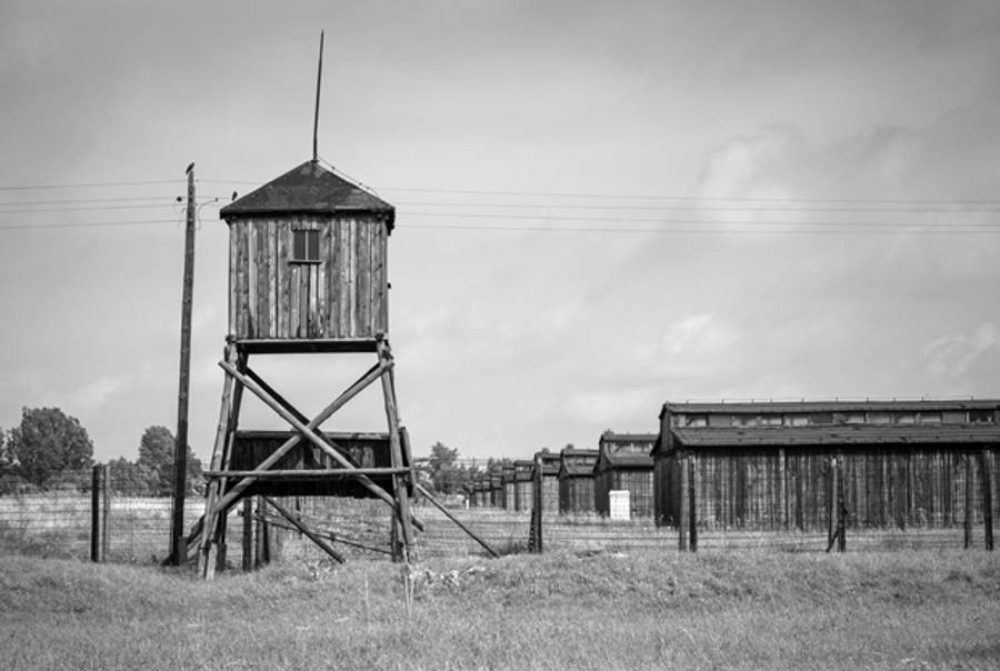 Majdanek concentration camp. (Patryk Kosmider / Shutterstock.com)