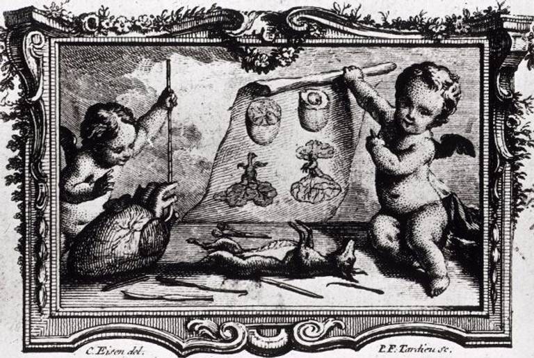Cherubim studying the heart of a dissected dog.