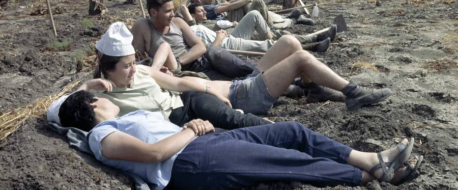 Kibbutz workers, 1965 