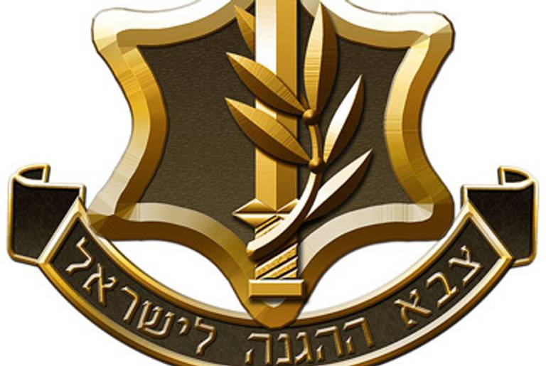 The IDF logo.(Wikipedia)