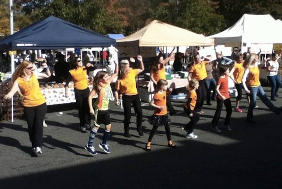 Flash Mob in Reston, Virginia(Flickr)