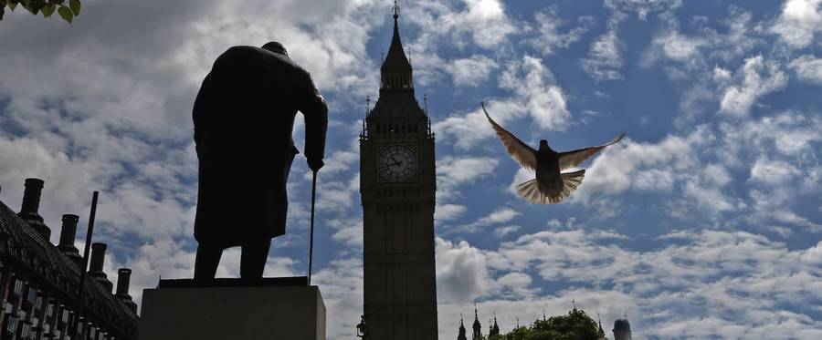 In London, a pigeon flies past a statue of Winston Churchill and the Houses of Parliament the day after the majority of the British public voted to leave the European Union on June 25, 2016. 
