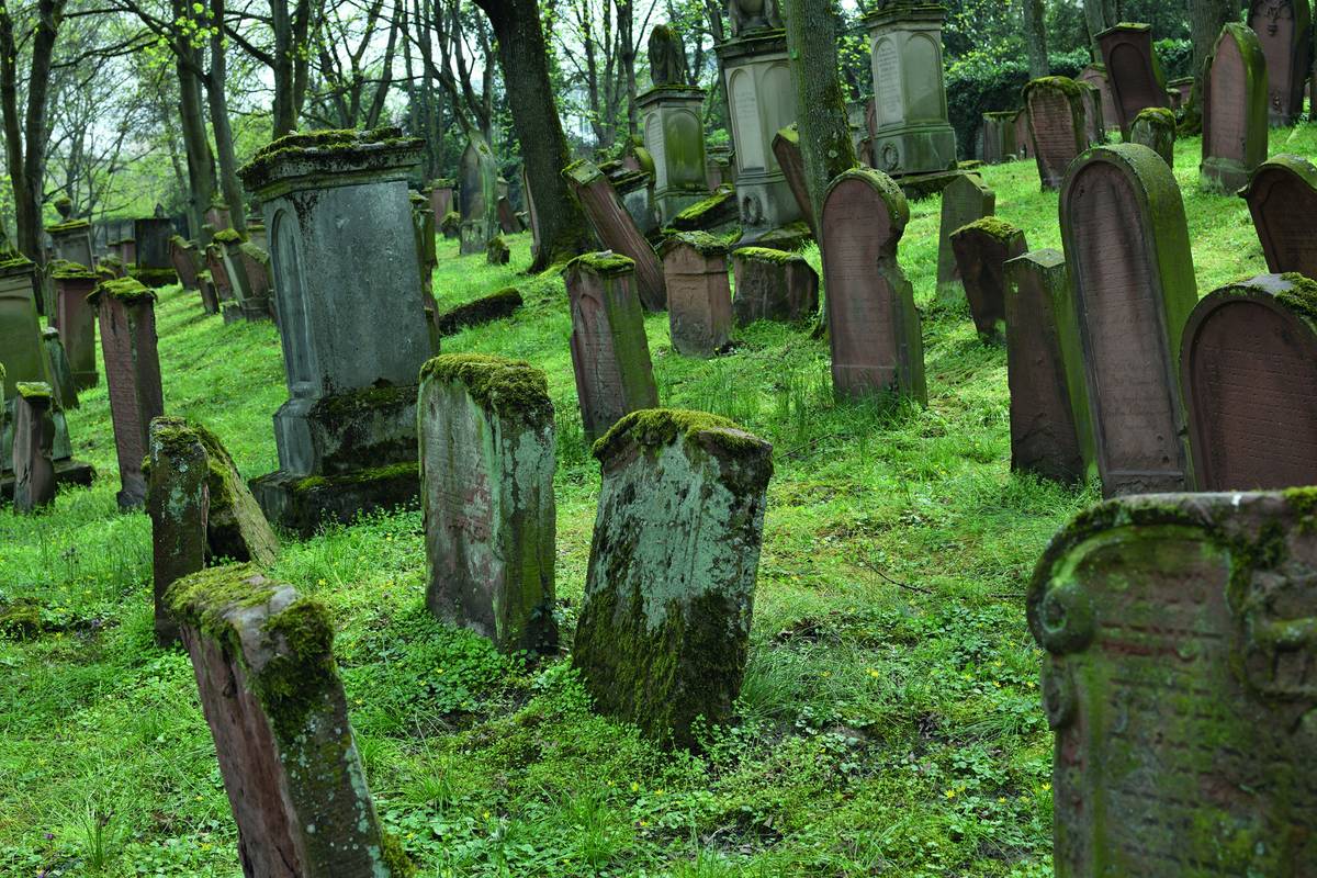 'New Section,' Old Jewish Cemetery, Mainz