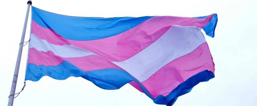 Transgender pride flag. 