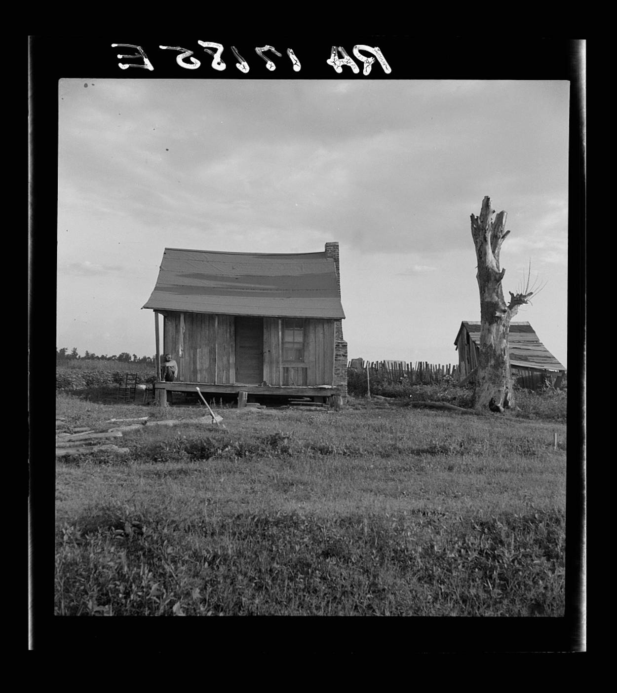 Dorothea Lange/Library of Congress