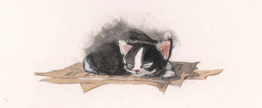 An image from 'Ketzel the Cat,' written by Leslea Newman and illustrated by Amy June Bates.