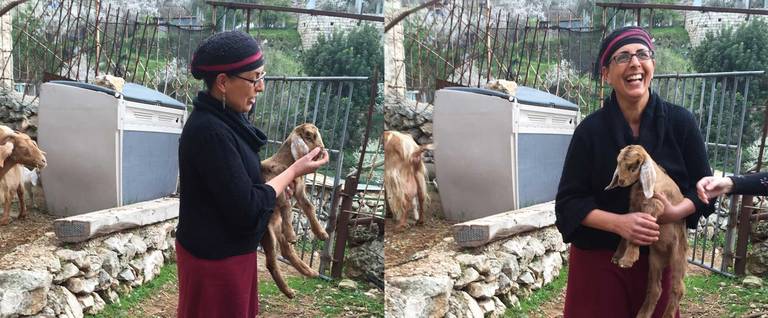 Efrat Giat, a licensed tour guide who raises goats in Ein Kerem, opens her homes to tourists from both Israel and abroad.
