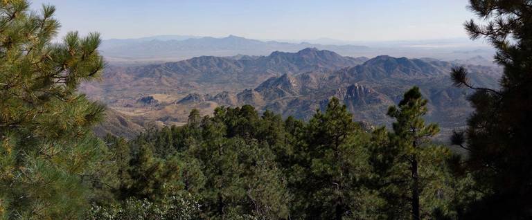 Mount Graham, Arizona.