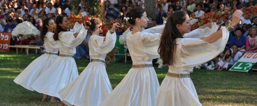 Folk dancers at Kibbutz Gan-Shmuel, 2009.