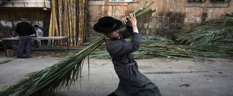 An Orthodox Jewish man struggles to carry home the palm branches he bought to cover his sukkah on Oct. 1, 2009, in the religious Mea Shearim neighborhood of Jerusalem.
