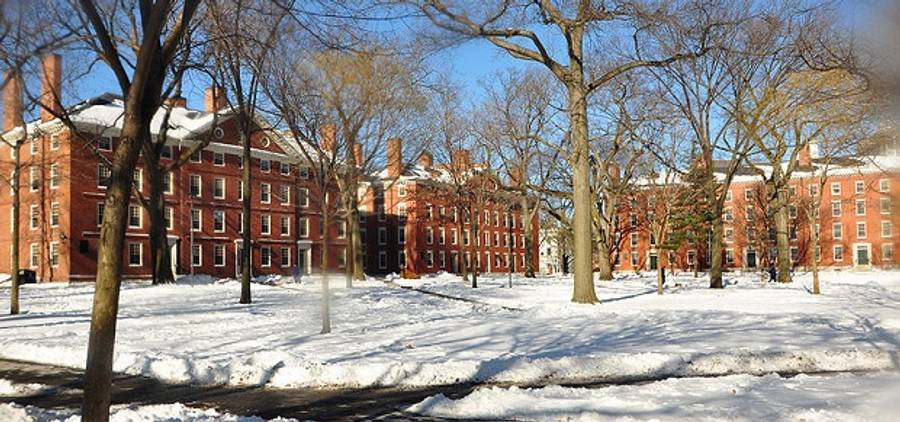 Harvard Yard (Wikipedia)