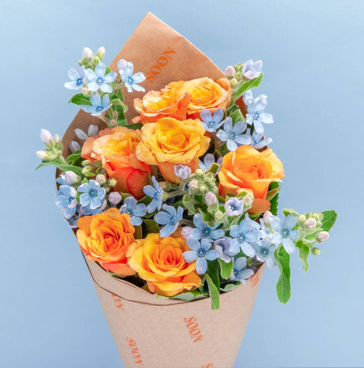 Soon/House of flowers