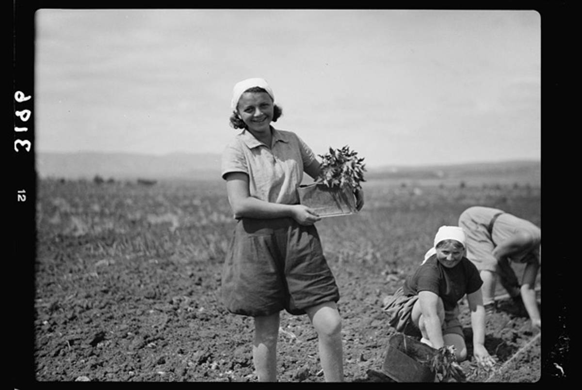 Putting in tomato plants at Girls' Agricultural Training School in Nahalal, c. 1930.(Library of Congress)