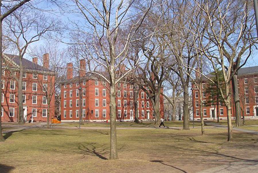 Harvard Yard at Harvard University in Cambridge, Mass. (Wikimedia Commons)