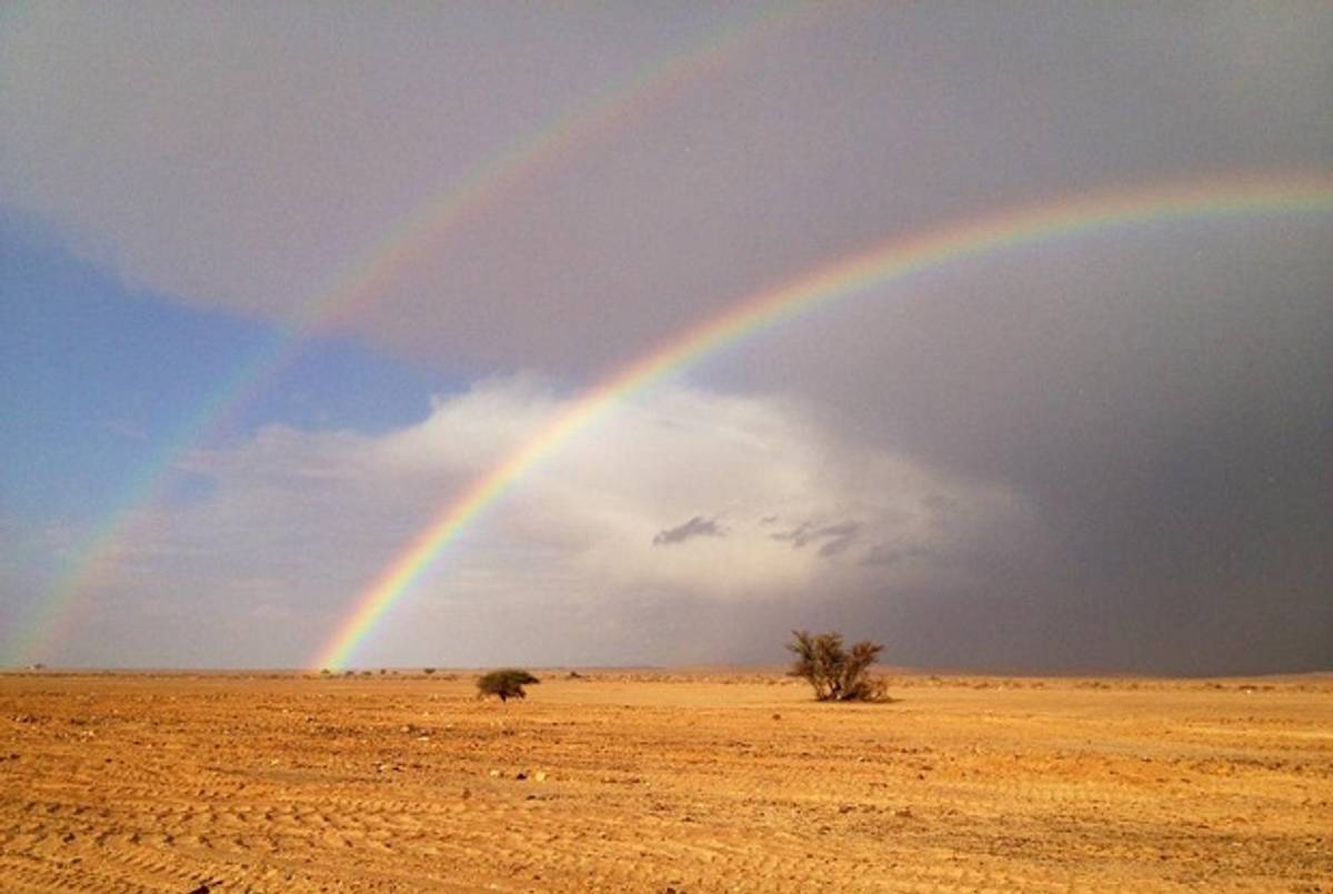 Picture Of The Day A Full On Double Rainbow In The Arava Desert Tablet Magazine