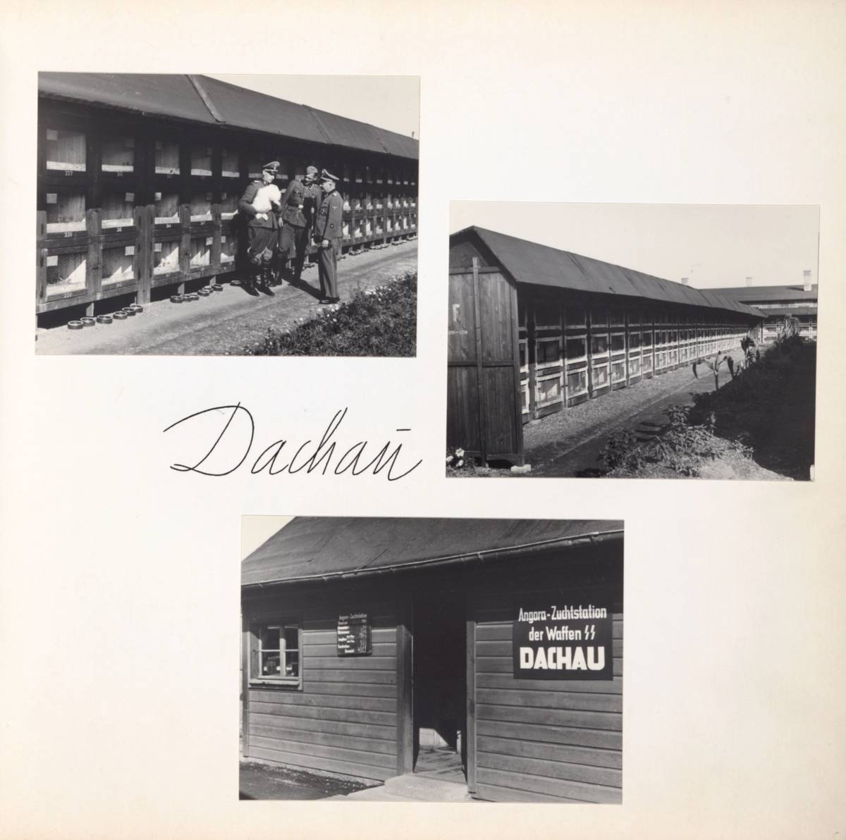 Images of the rabbit hutches at Dachau concentration camp, circa 1943, from Himmler's Angora Album