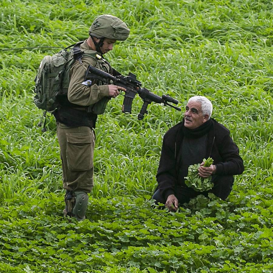 An Israeli soldier checks the identification documents of Palestinian farmers in a field near al-Hamra checkpoint in the Jordan Valley in the occupied West Bank on Jan. 28, 2020