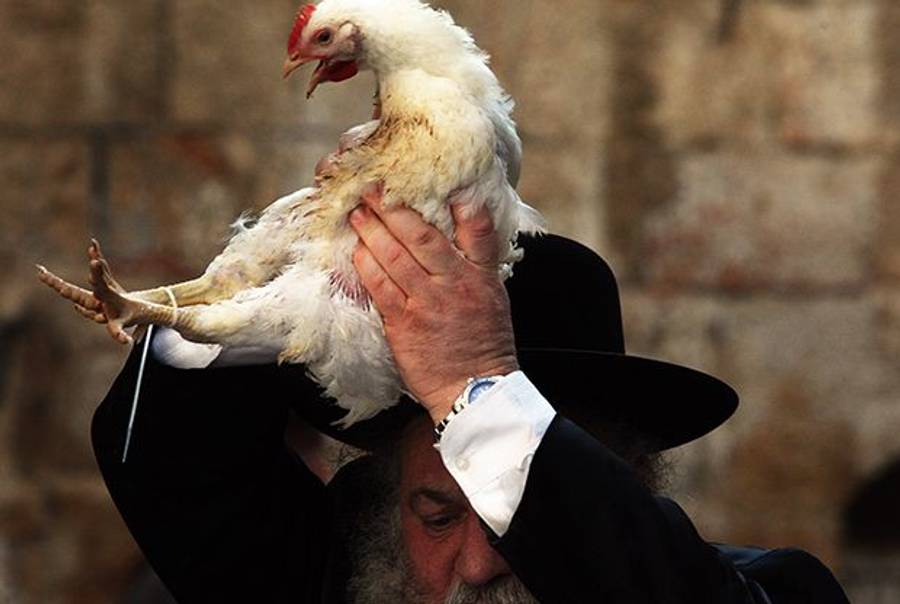 Ultra Orhodox Jews take part in the ritual Kapparot ceremony in Mea Sharim, Jerusalem September 18, 2007