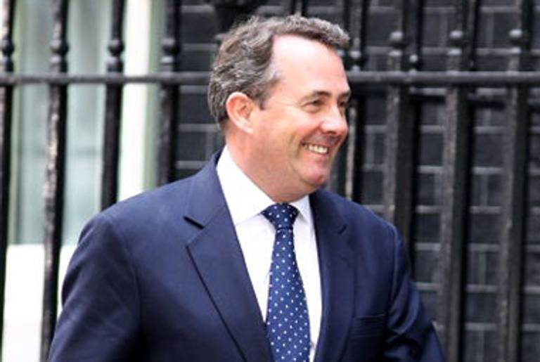 New Defense Secretary Liam Fox earlier today.(Jeff J Mitchell/Getty Images)