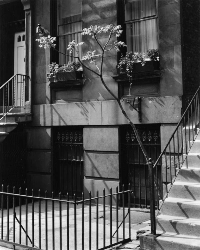 ‘It surprised me, to hear that she had still imagined her mother might change.’ Brett Weston (1911-93), ‘Building and Tree, New York,’ 1944