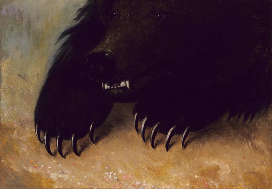 George Catlin, ‘Weapons and Physiognomy of the Grizzly Bear,’ 1846-1848