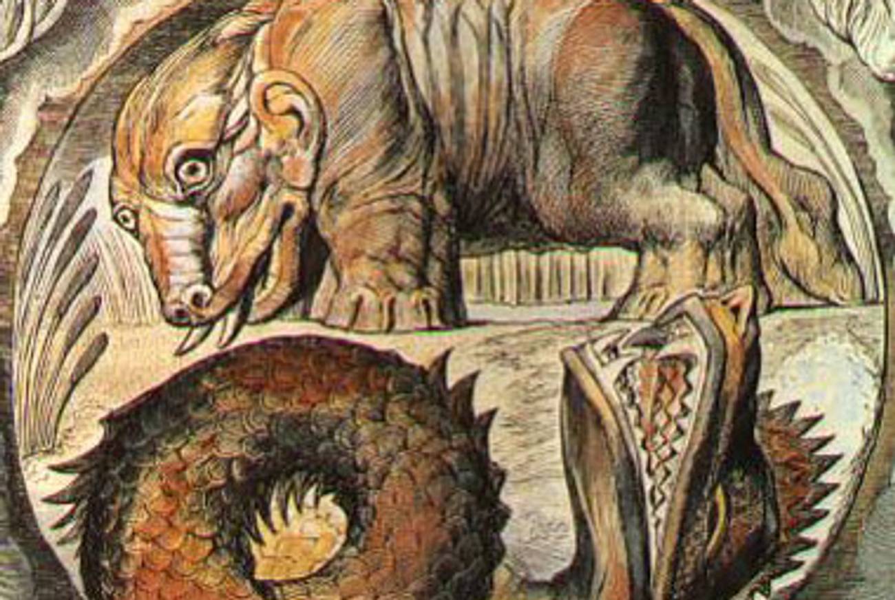 Imaginary Animals, Really Kosher - Tablet Magazine Imaginary Animals, Really Kosher - Tablet Magazine