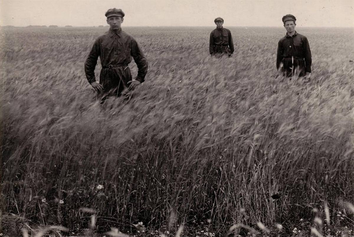 Three young men in a wheat field at the Ḥakla’i (Farmer) settlement, Dzhankoi, Ukraine, USSR, ca. 1920s.(YIVO Institute for Jewish Research, New York)