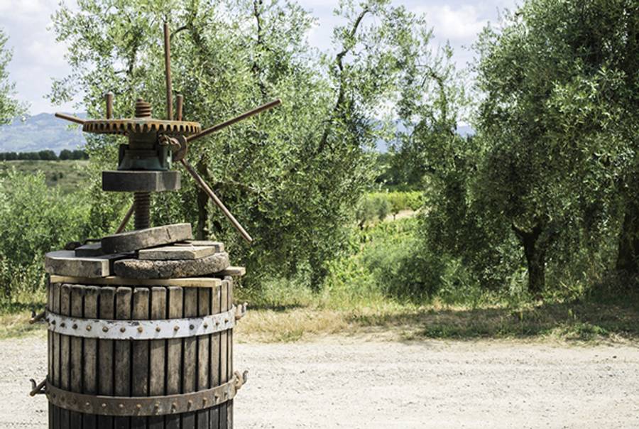 Olive press in Tuscany. (Shutterstock)