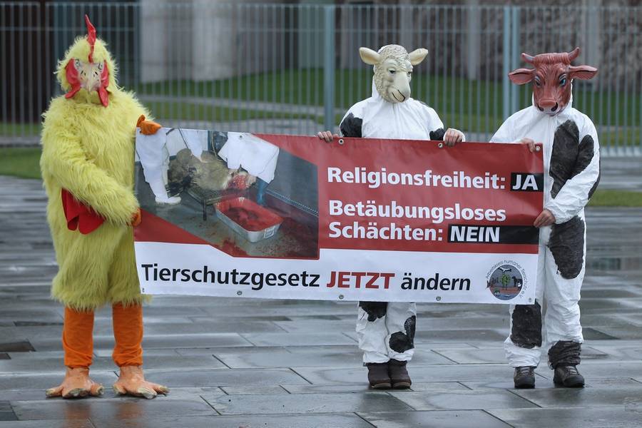 Animal activists dressed as a chicken, a sheep, and a cow hold a banner that reads: ‘Freedom of Religion: Yes, Non-Anesthetic Ritual Slaughter: No, Change Legislation for the Protection of Animals Now’ in front of the Chancellery in Berlin, Jan. 5, 2012