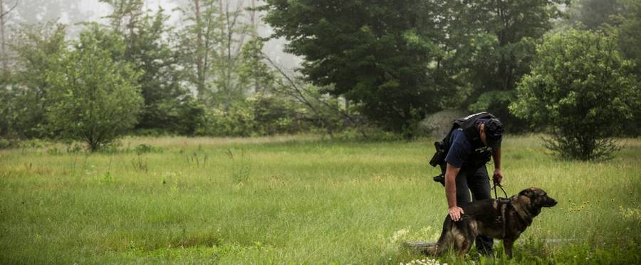A U.S. Marshall and his dog search for escaped convicts Richard Matt and David Sweat outside Dannemora, New York, June 16, 2015.  
