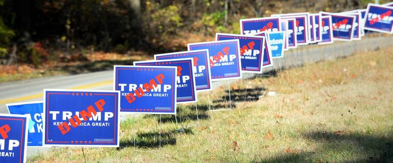 A line of 'Dump Trump' signs in North Manchester, New Hampshire, November 8, 2016. 