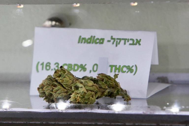 Israeli Medical Marijuana(TokeOfTheTown)