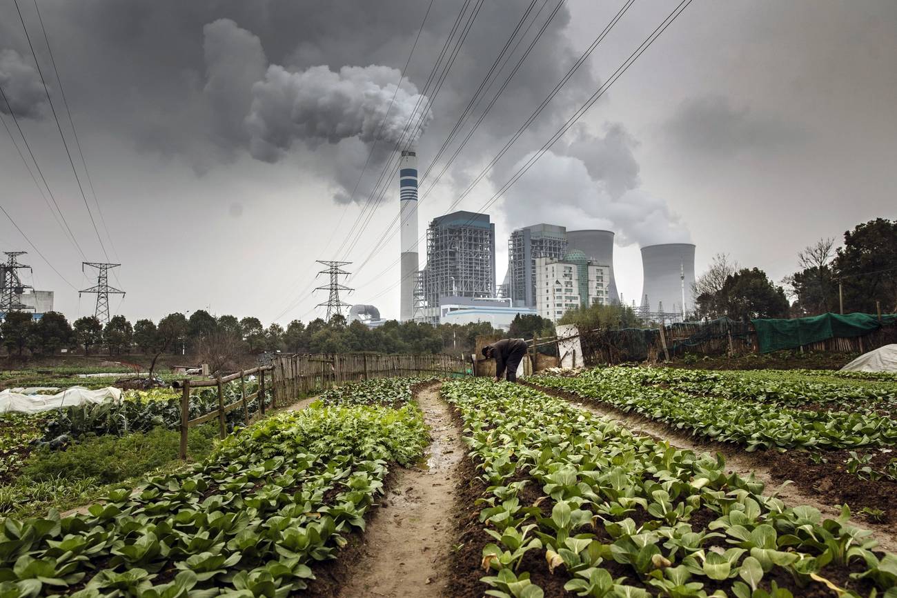 Qilai Shen/Bloomberg via Getty Images