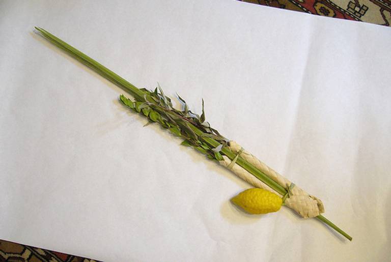 A lulav (the palm frond) and an etrog (the small citrus fruit).(wordscraft/Flickr)