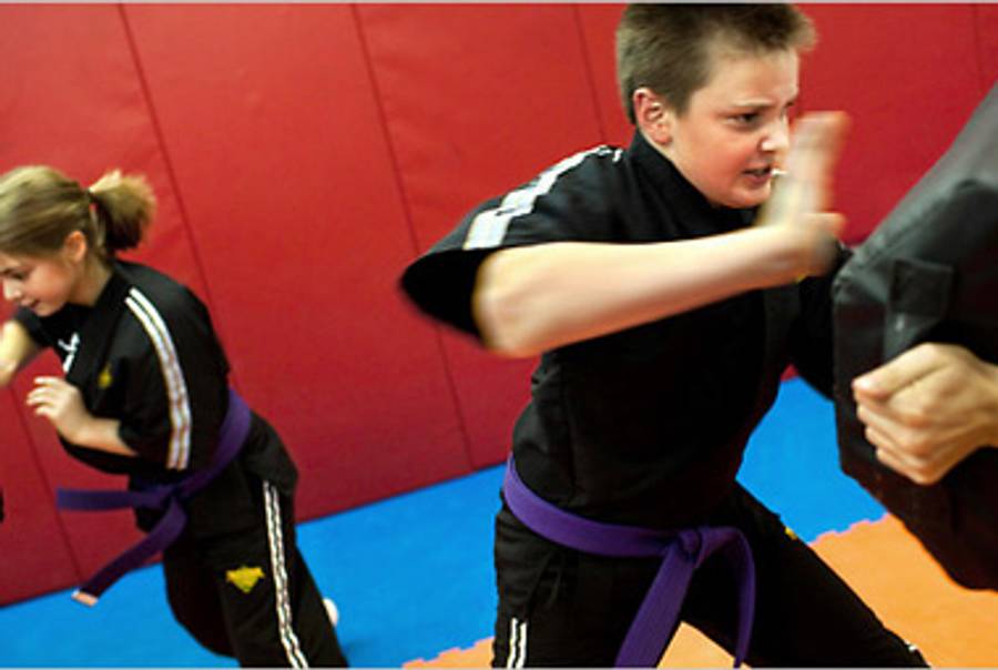 Trading Karate Kicks for Martial Arts(NYT)