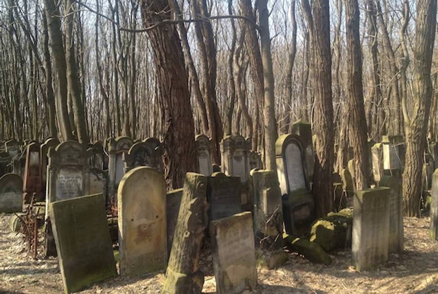 Jewish Cemetery in Warsaw.(David Samuels)