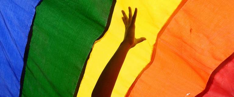 An LGBT flag in Kolkata, India, July 13, 2014. 