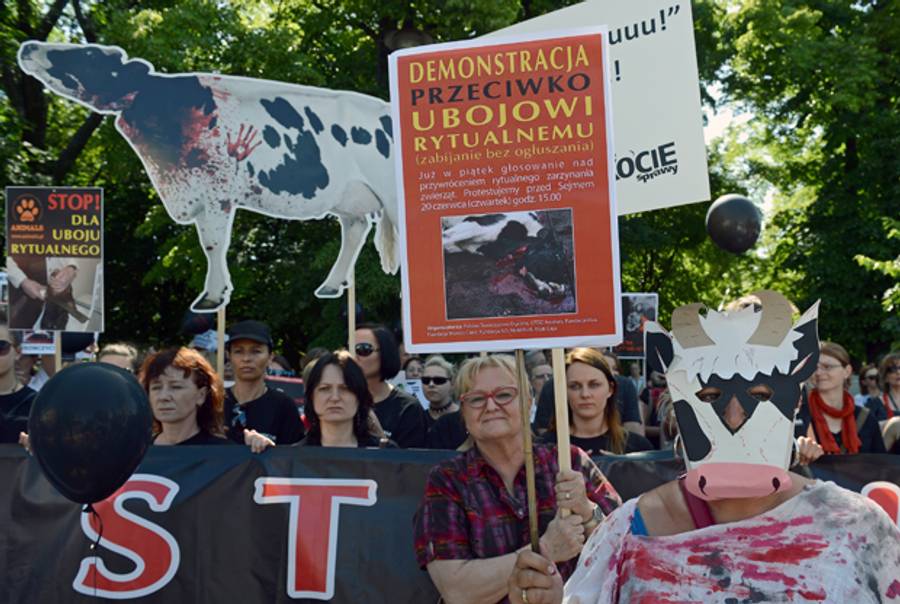 Animal rights activists demonstrate in front of parliament protesting against ritual slaughter of animals on June 20, 2013 in Warsaw.(JANEK SKARZYNSKI/AFP/Getty Images)
